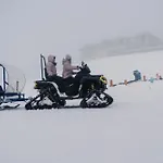 Neubergerhof Hotel 4*