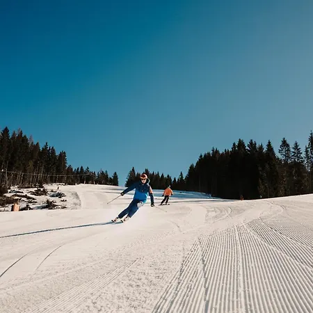 Neubergerhof Hotel Filzmoos