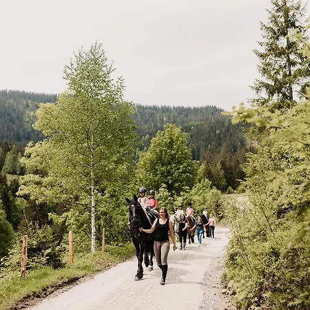 Neubergerhof 4* Filzmoos