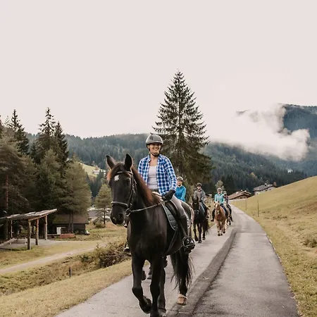 Neubergerhof 4* فيلزموس