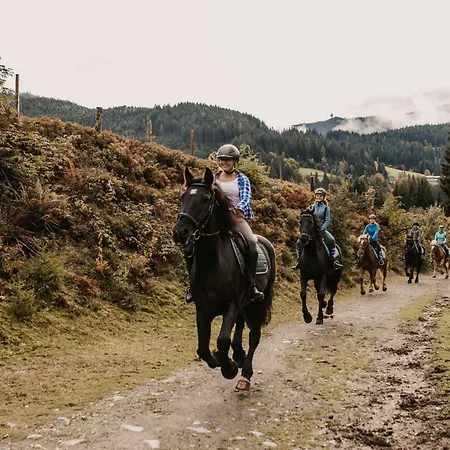 فندق Neubergerhof