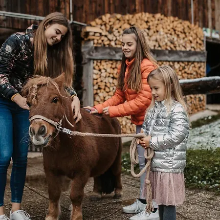 Neubergerhof فيلزموس